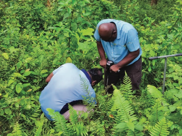 Soil health